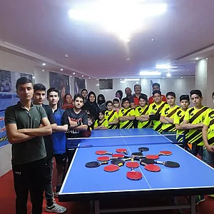آکادمی تخصصی تنیس روی میز ابراهیمیان