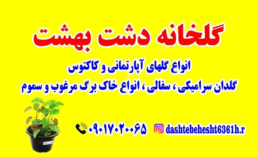 گلخانه دشت بهشت - تصویر 2