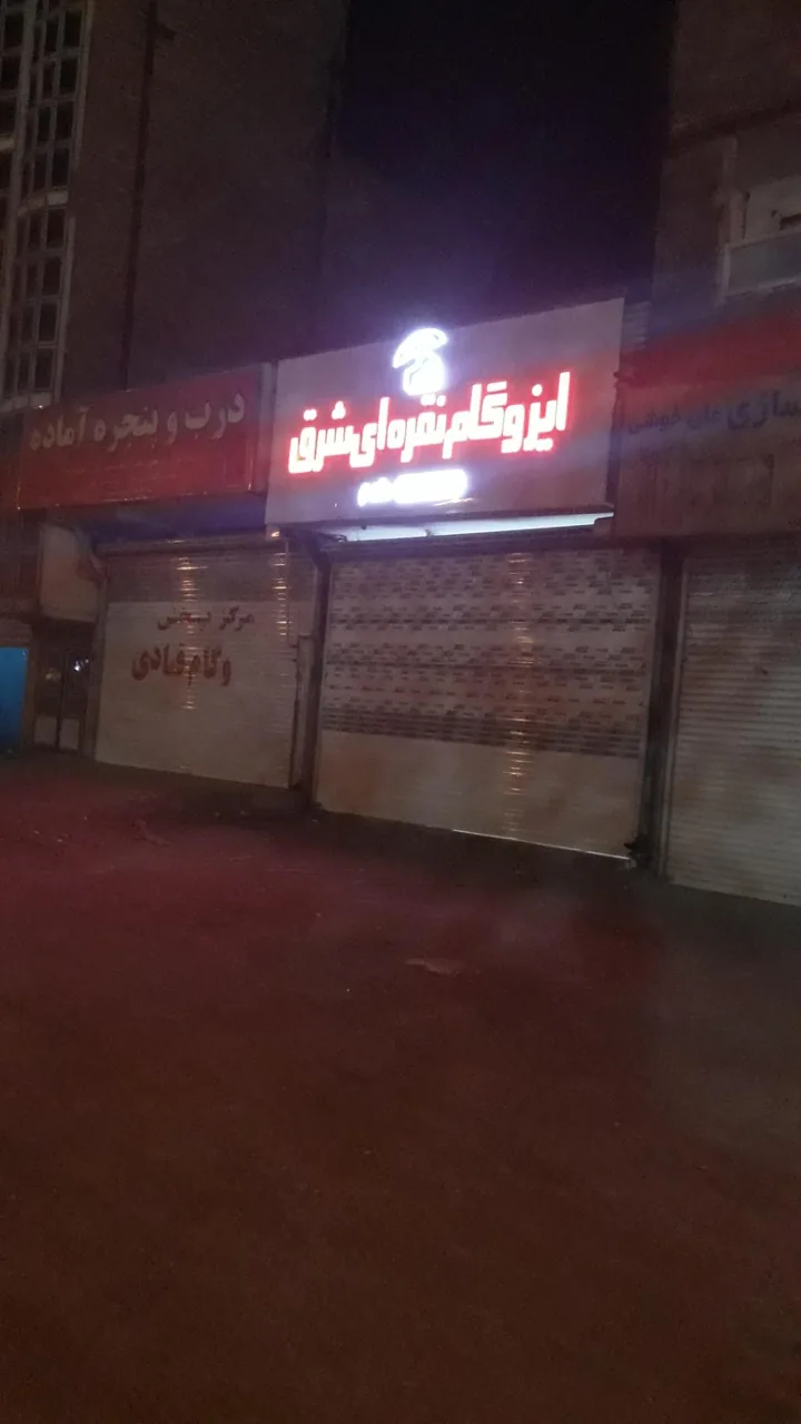 ایزوگام نقره ای شرق - تصویر 2