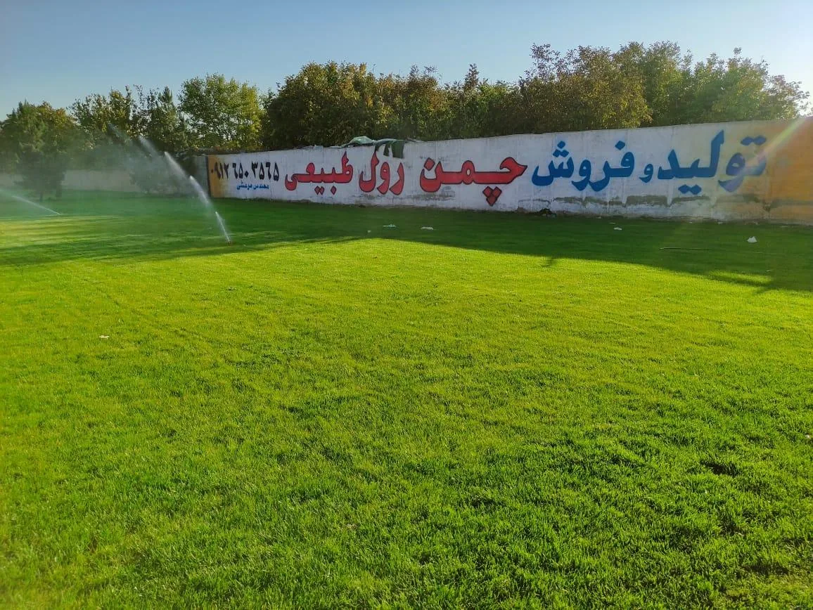چمن رول آرش
