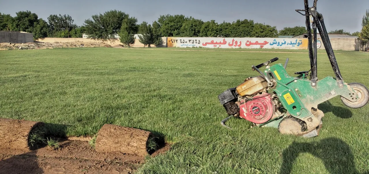 چمن رول آرش - تصویر 2