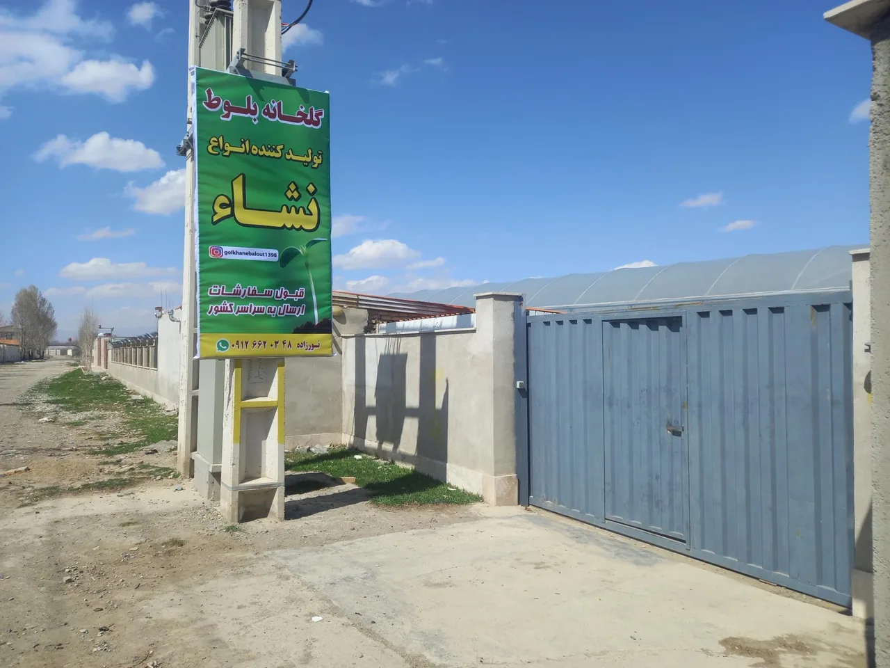 گلخانه بلوط