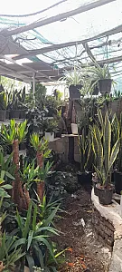 گل و گلدان غزل