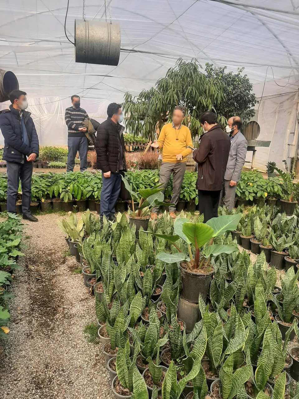 گل و گیاه حسینی