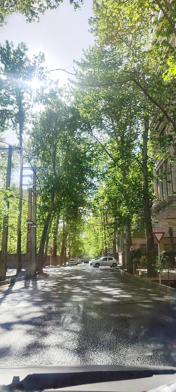 دهکده ورزشی چهارباغ - تصویر 4