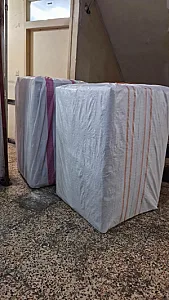 کفش دانا