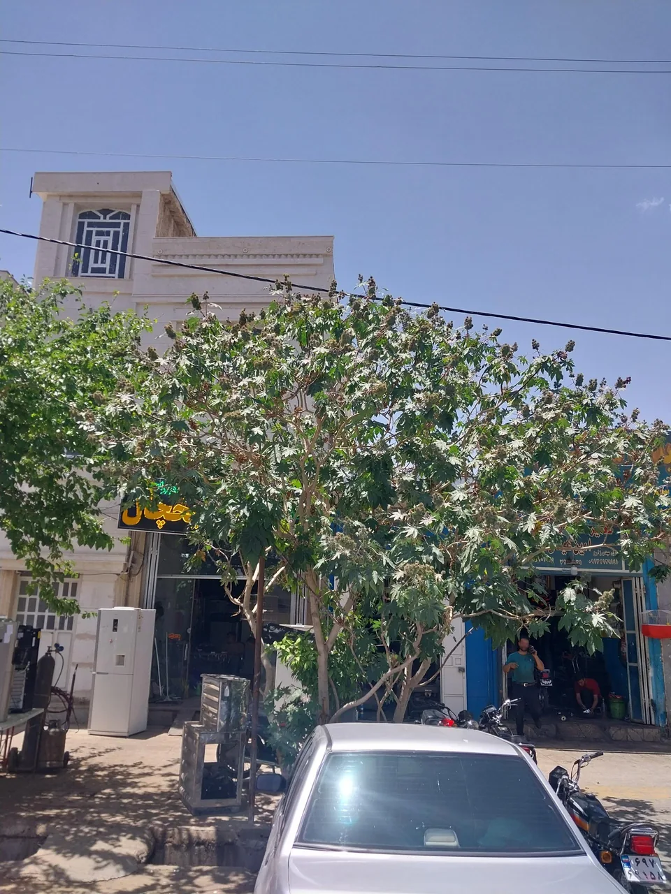 یخچال سازی جنرال سرویس - تصویر 2