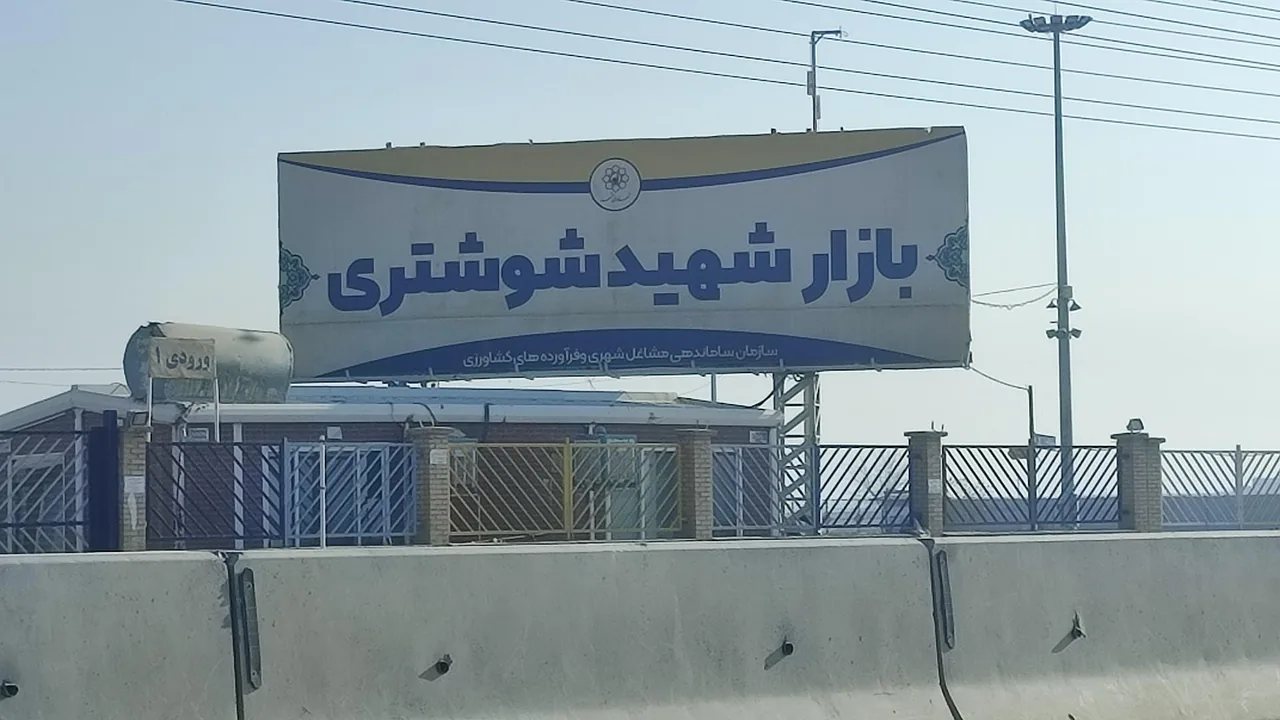 جمعه بازار شهید شوشتری - تصویر 5