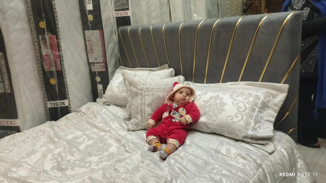 کالای خواب شاهین - تصویر 4