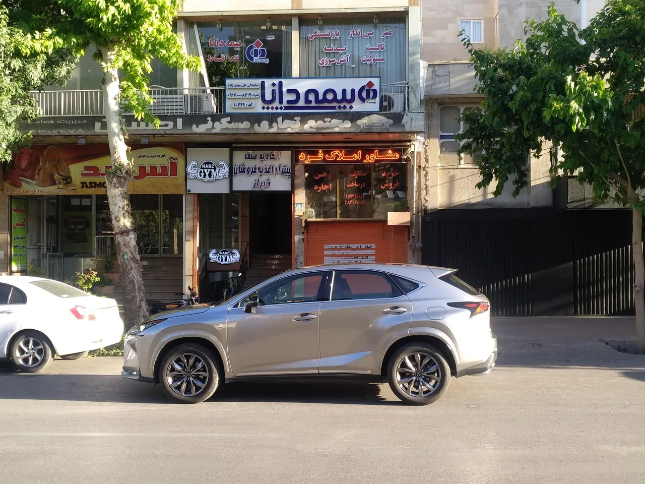 بیمه دانا مهدیزاده