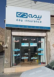 بیمه دی