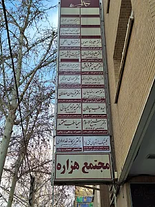 مجتمع هزاره