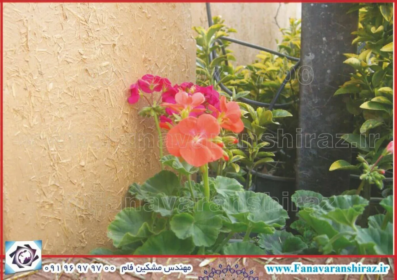 فروشگاه کاهگل نانو - تصویر 6