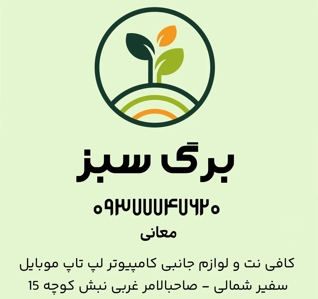 کافی نت برگ سبز - تصویر 2