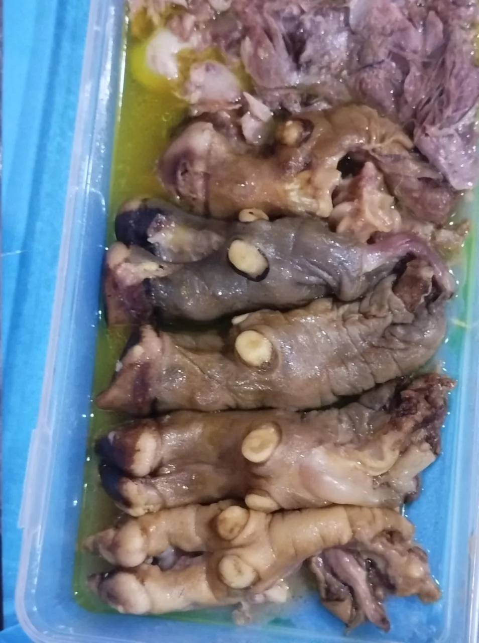 طباخی شاهگوش - تصویر 3