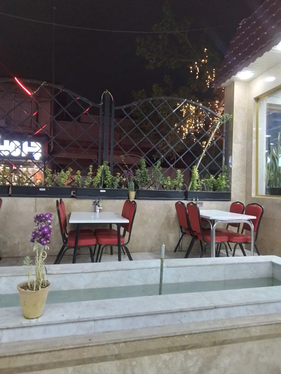 طباخی لاله - تصویر 5