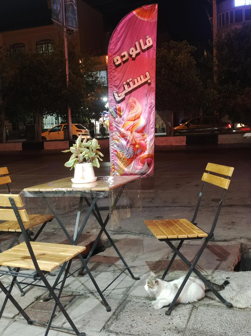 خانه آبمیوه بستنی - تصویر 5