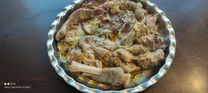 طباخی آرش