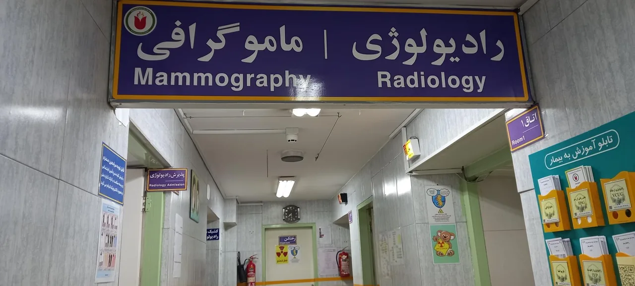 بیمارستان حضرت امیرالمومنین ع(بیمارستان رحیم زاده) - تصویر 3