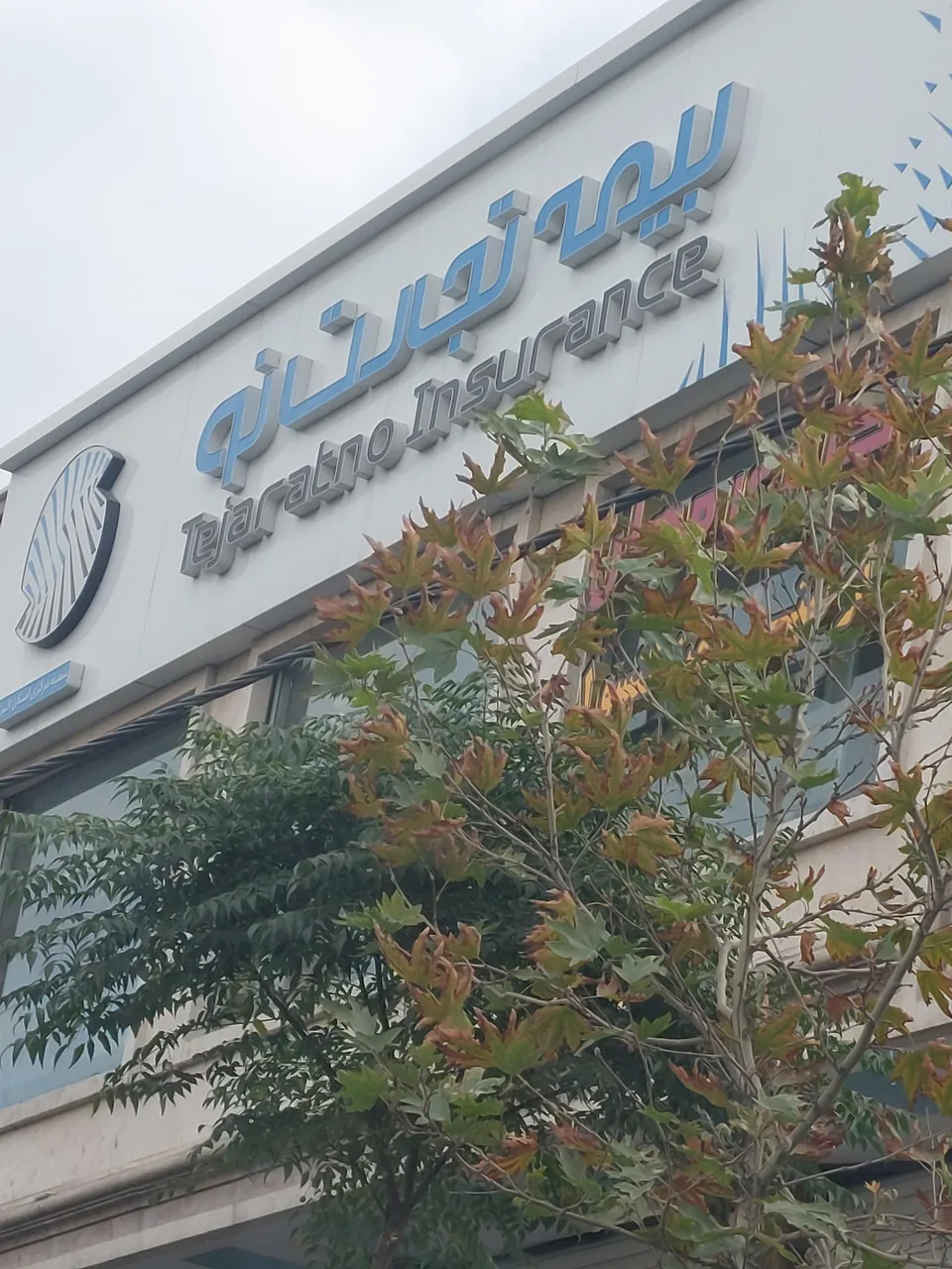 بیمه تجارت نو کرج شعبه مرکزی البرز - تصویر 4