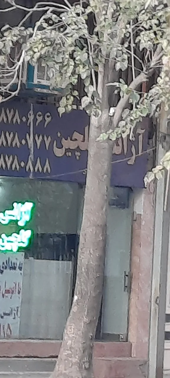 آژانس گلچین - تصویر 2