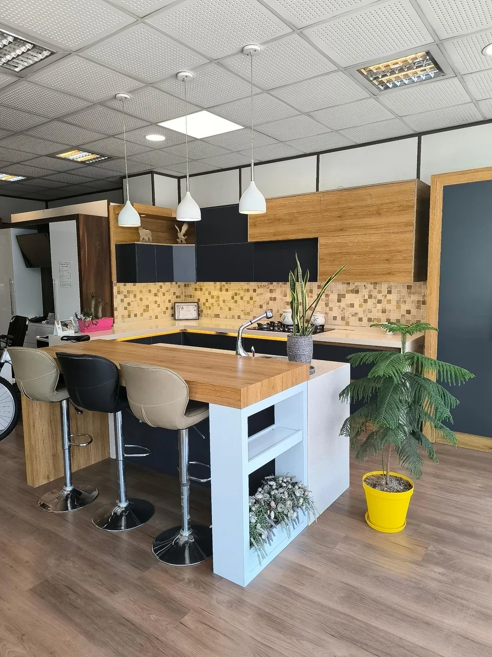 کابینت سکویا - تصویر 2