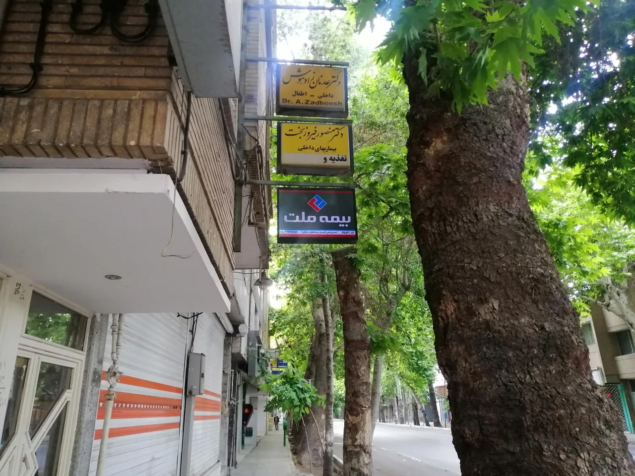 بیمه ملت نمایندگی صالحی - تصویر 4