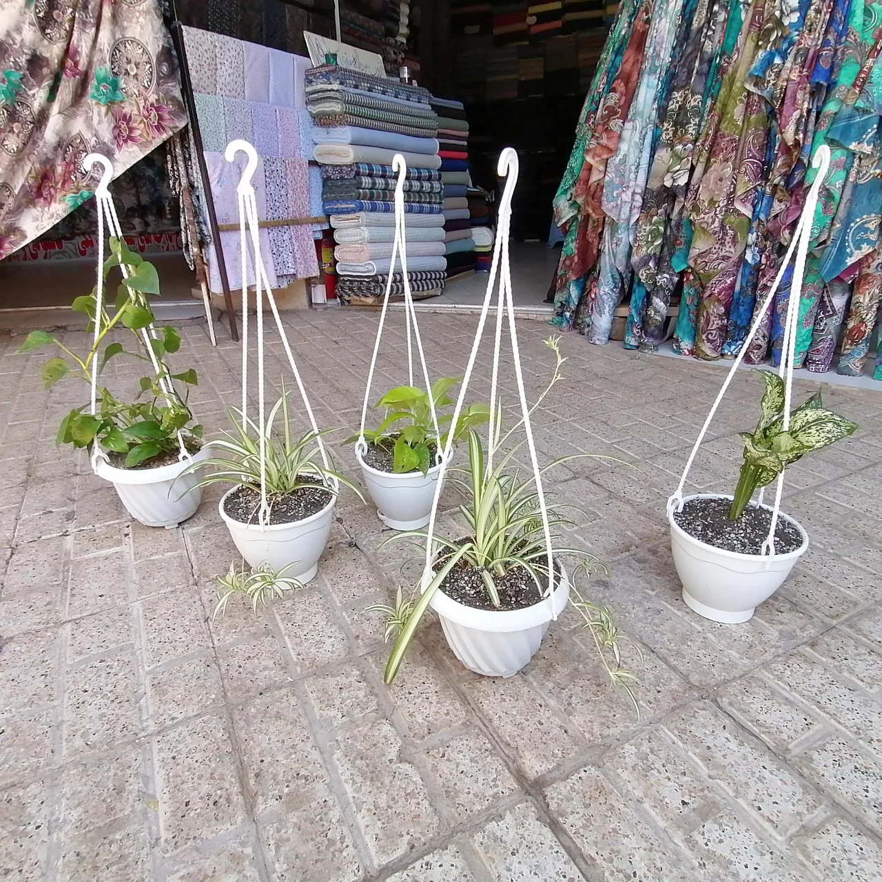 پارچه سرای علی - تصویر 5