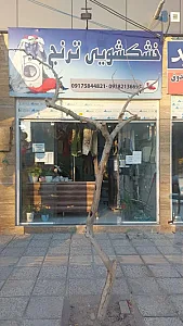 خشکشویی ترنج