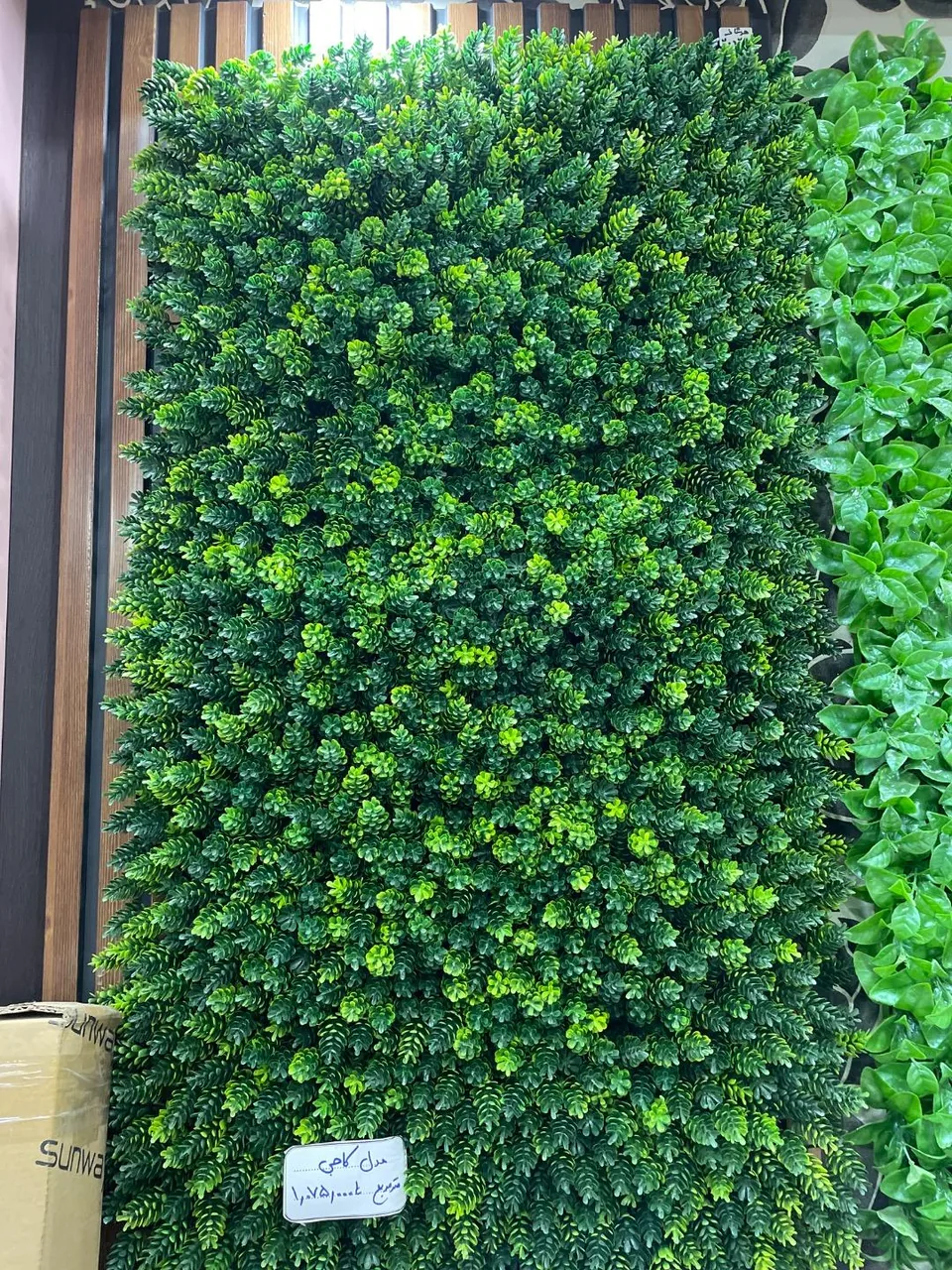 سان دکور - تصویر 3