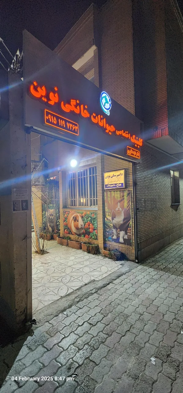 کلینیک دامپزشکی و پت شاپ نوین