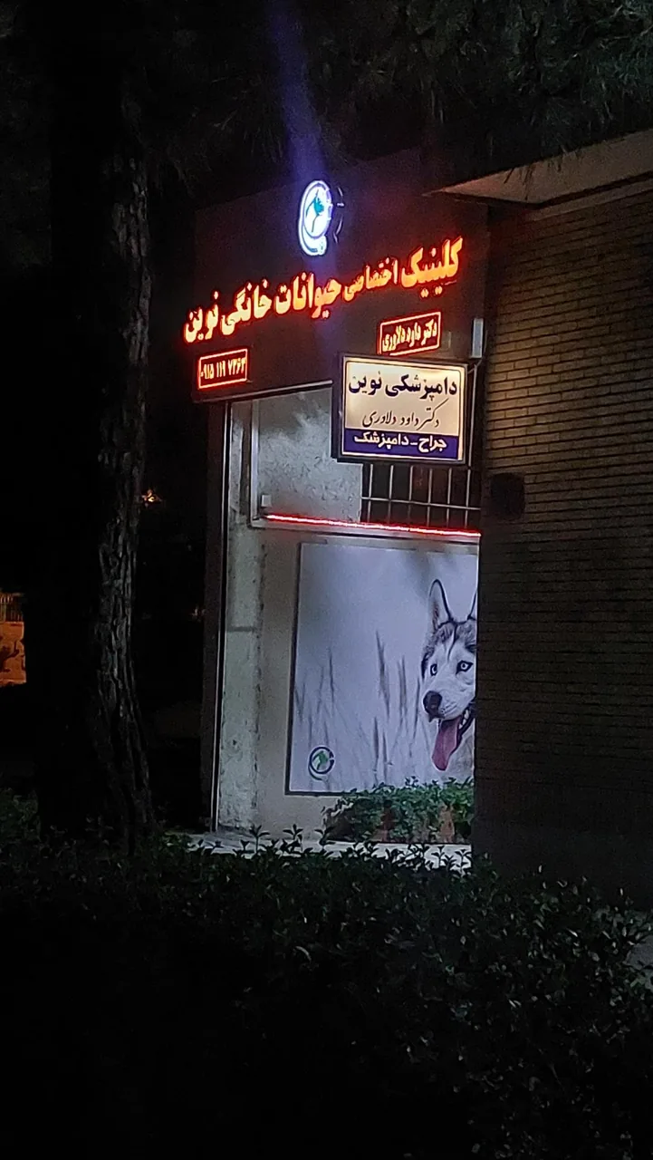 کلینیک دامپزشکی و پت شاپ نوین - تصویر 3
