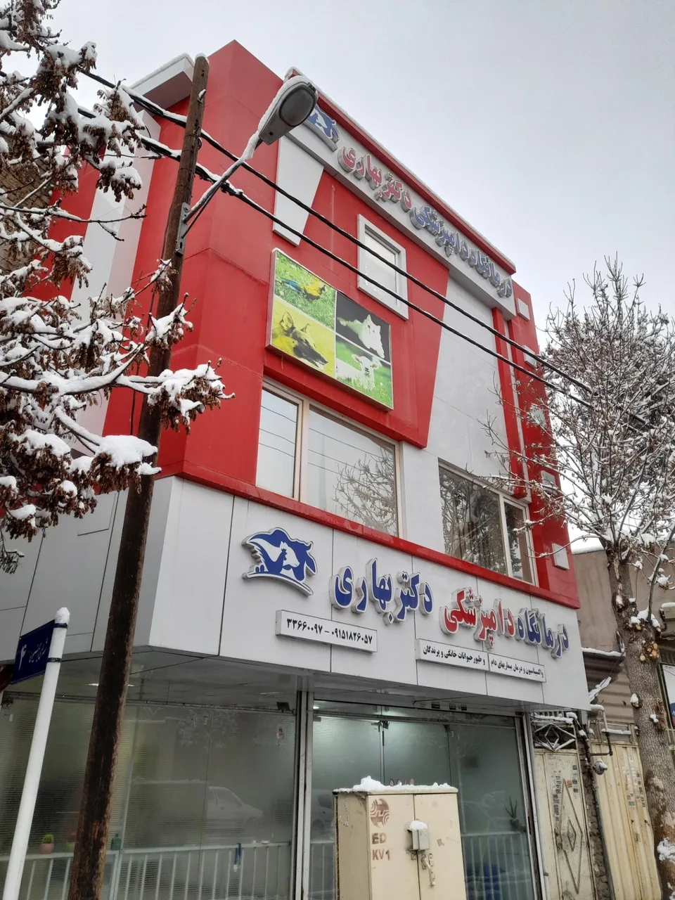 کلینیک دامپزشکی دکتر محمود رفعت بهاری - تصویر 2