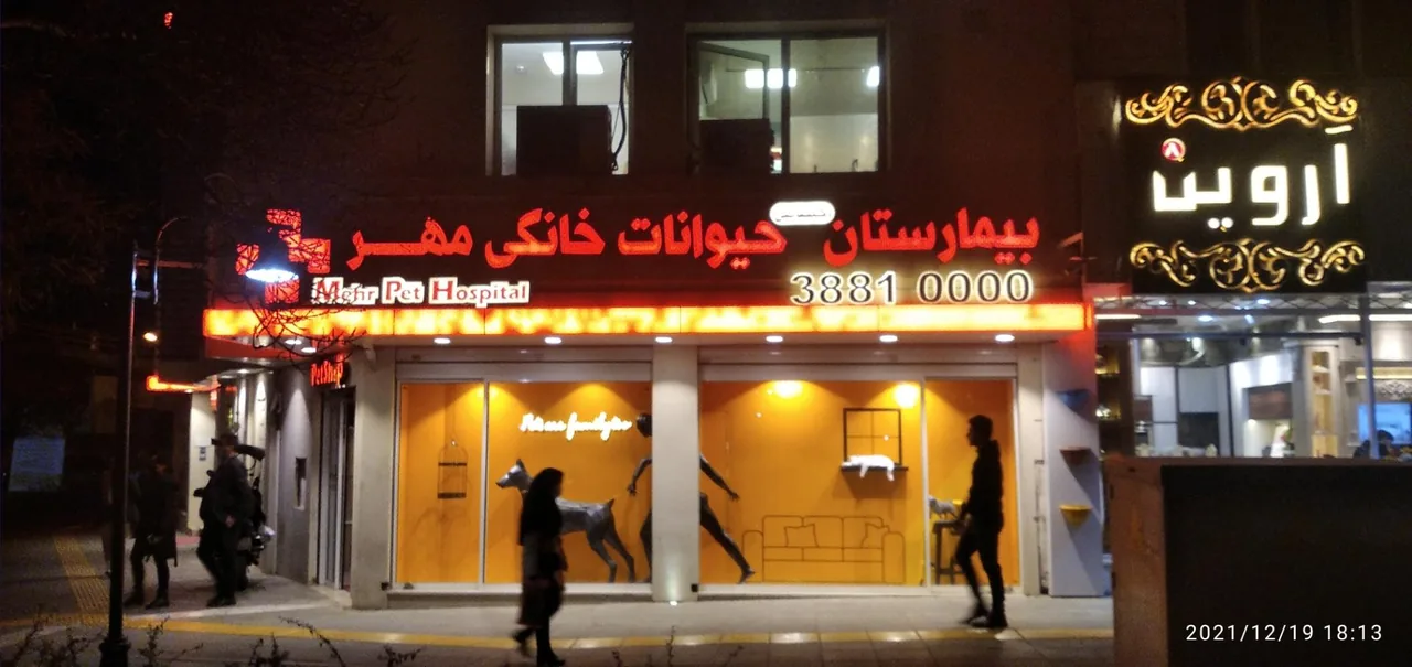 بیمارستان تخصصی دامپزشکی مهر - تصویر 2