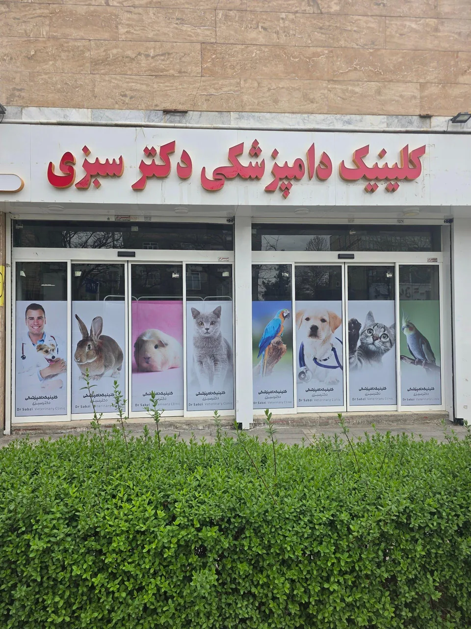 کلینیک دامپزشکی دکتر سبزی - تصویر 2