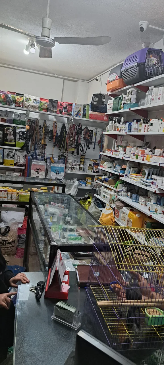 پت شاپ داروخانه دامپزشکی - تصویر 5