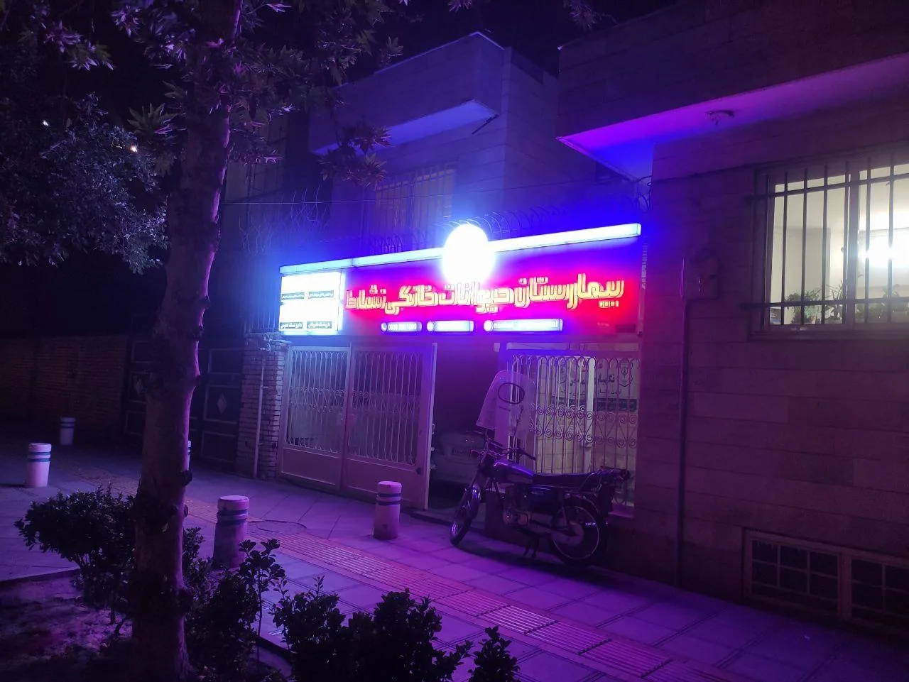 کلینیک دامپزشکی نشاط - تصویر 3