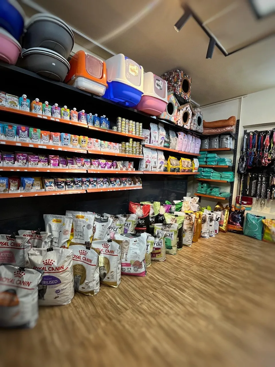 کلینیک دامپزشکی و پت شاپ فرشته - تصویر 2