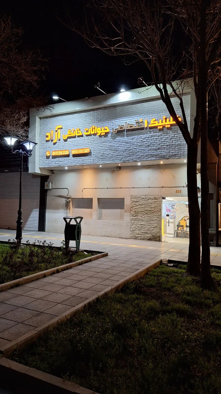 کلینیک حیوانات خانگی آراد - تصویر 2