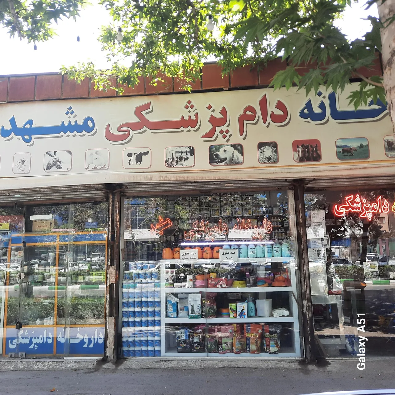 داروخانه دامپزشکی مشهد - تصویر 2