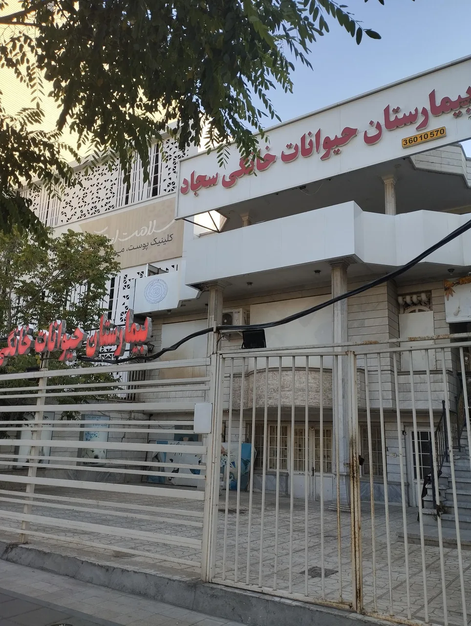 بیمارستان حیوانات خانگی سجاد - تصویر 2