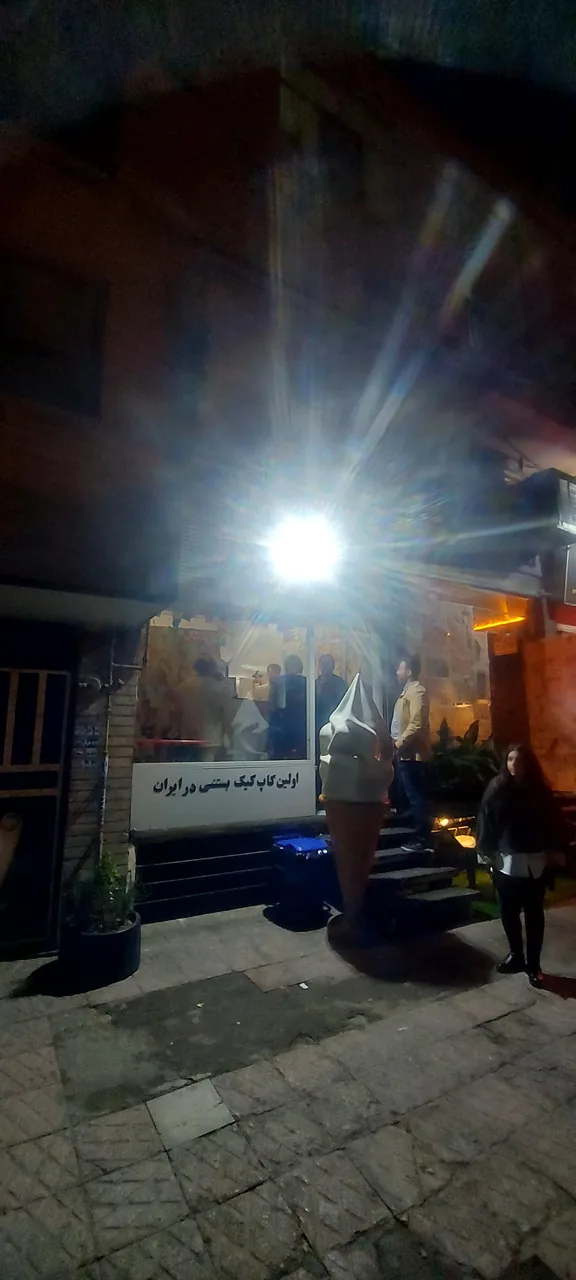 بستنی پنگوئن - تصویر 2