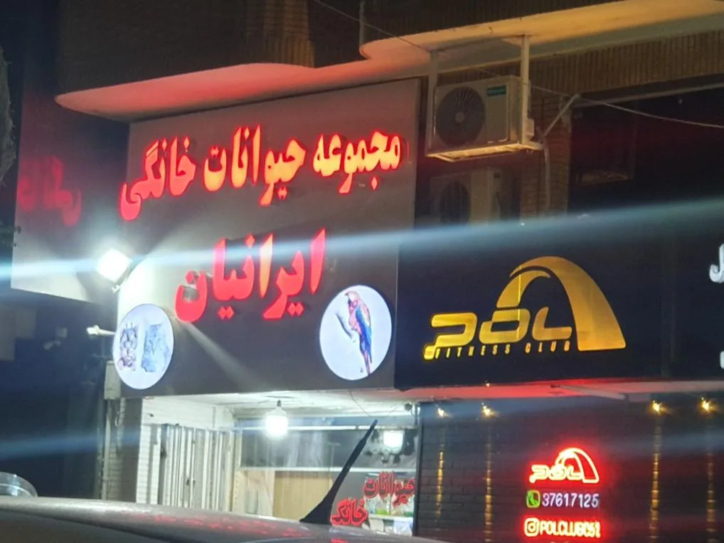 کلینیک حیوانات خانگی ایرانیان - تصویر 2