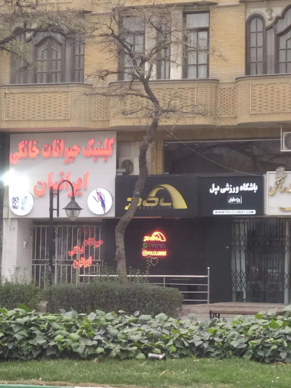 کلینیک حیوانات خانگی ایرانیان - تصویر 3