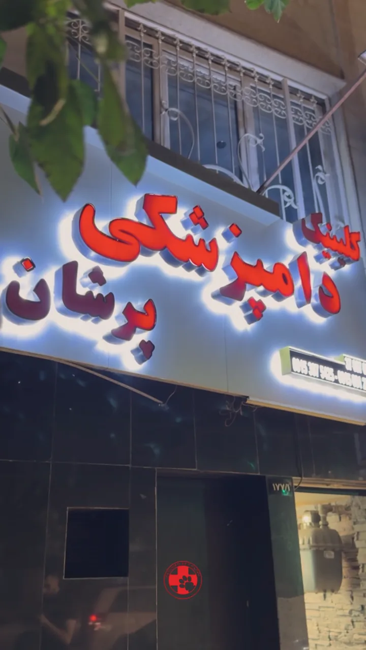 کلینیک دامپزشکی پرشان - تصویر 2