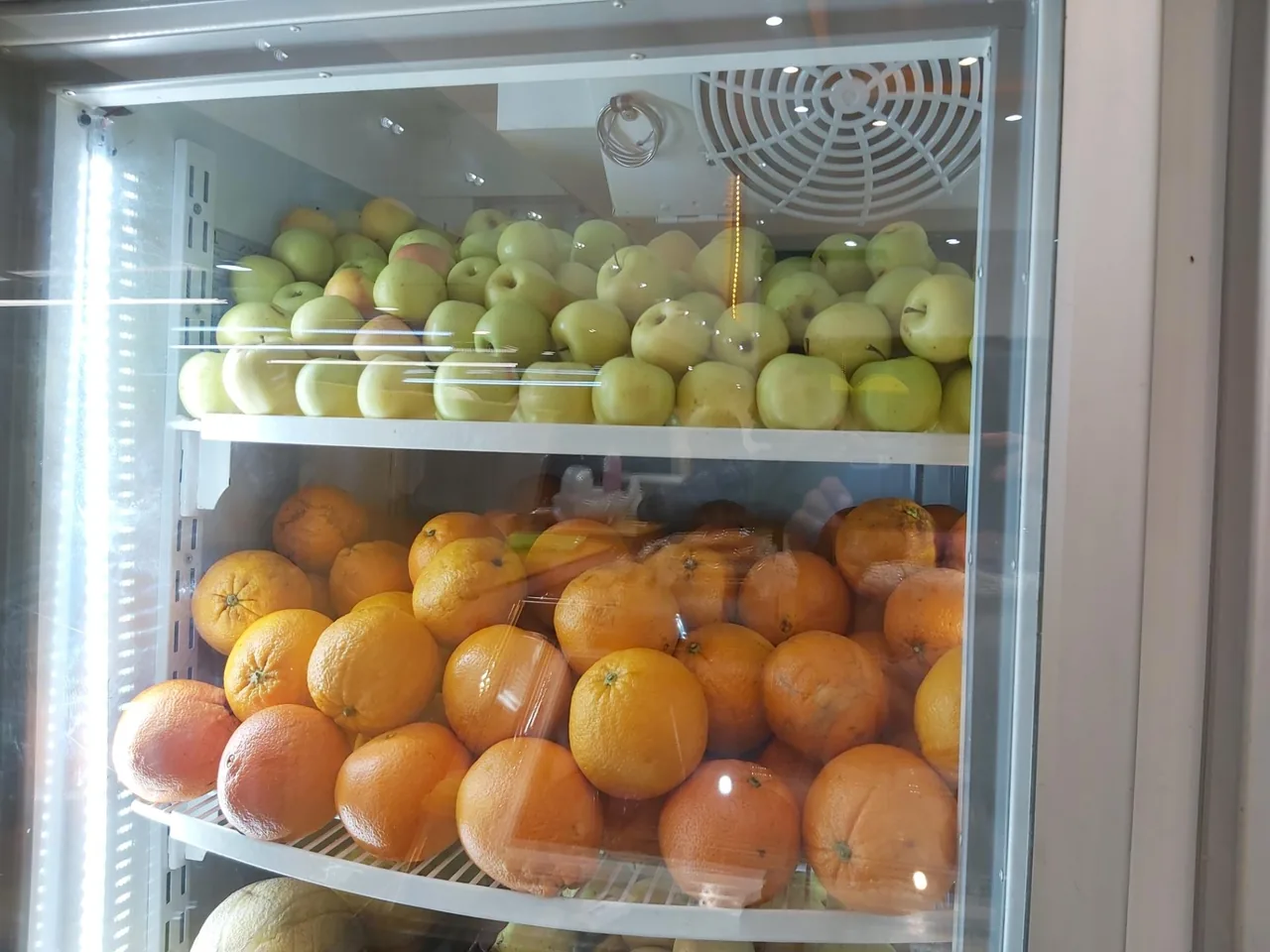 قصر بستنی - تصویر 5