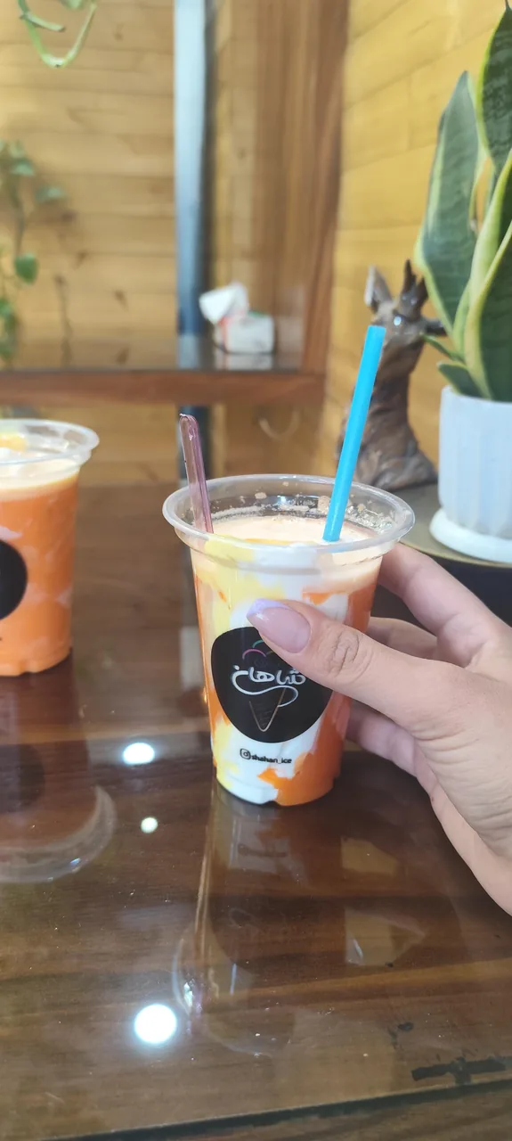 آبمیوه بستنی شاهان - تصویر 2