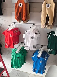 سیسمونی تربچه