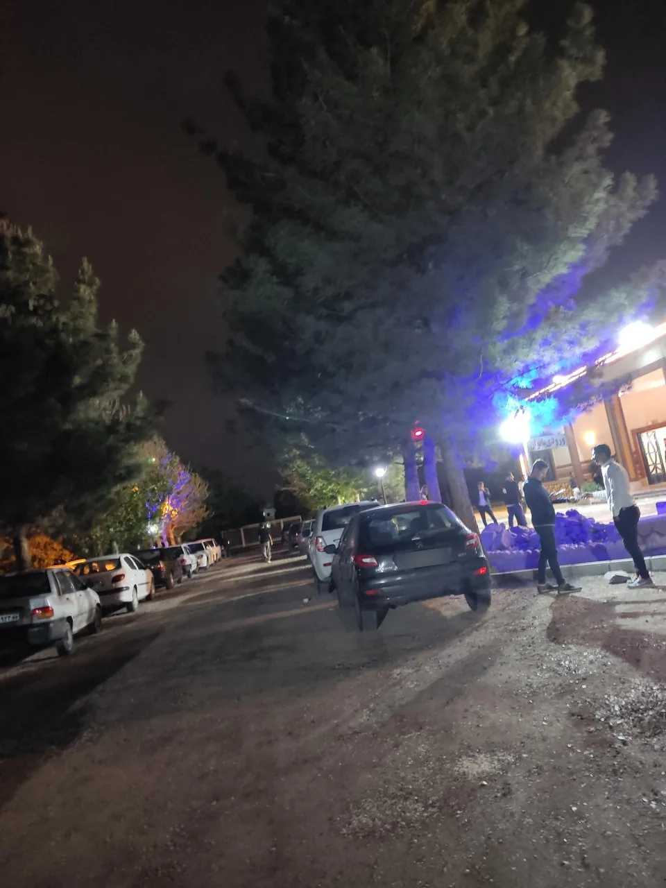 باغ تالار گنجینه توس - تصویر 4