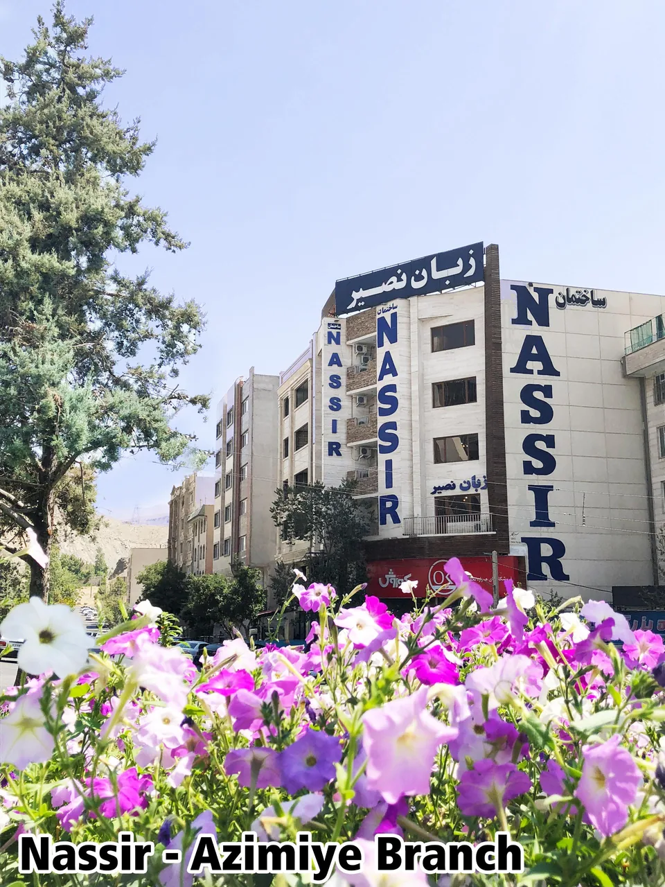 موسسه زبان نصیر - تصویر 3